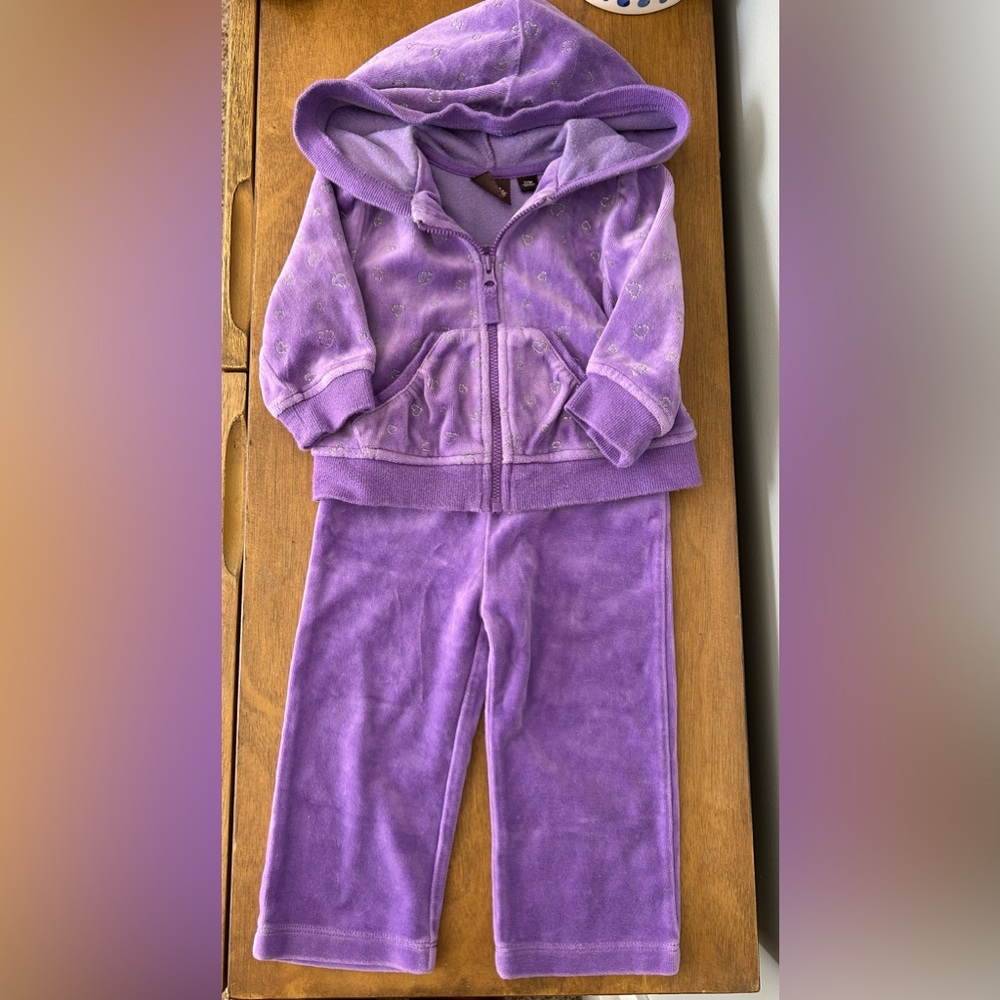 Purple Hearts Baby Girl Sweatshirt and Sweatpants Set 12M
